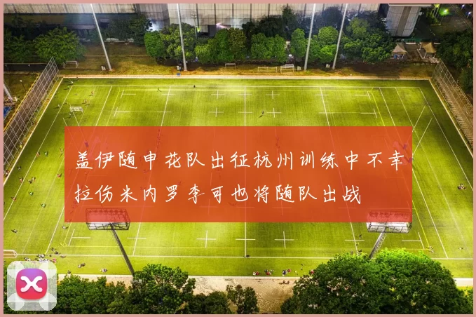 盖伊随申花队出征杭州训练中不幸拉伤米内罗李可也将随队出战