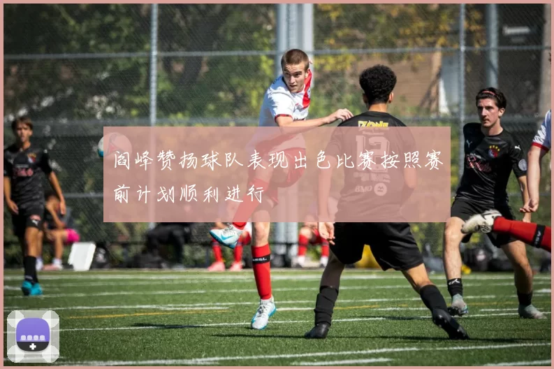 阎峰赞扬球队表现出色比赛按照赛前计划顺利进行